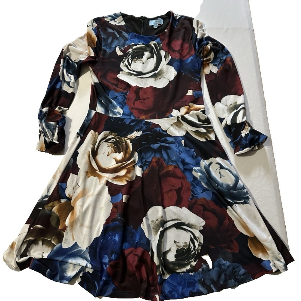 CeCe Floral Fit Flare Dress Womens Small Long Sleeve Blue Burgundy Rose